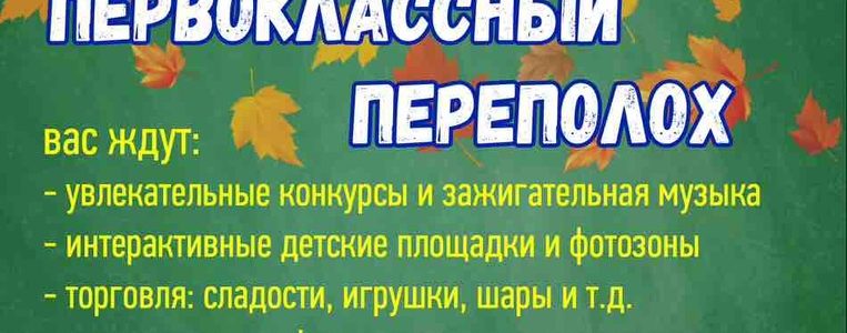 ПЕРВОКЛАССНЫЙ ПЕРЕПОЛОХ
